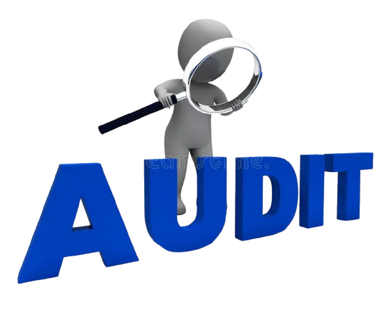 Auditor character illustration – validation and scrutiny concept for IT audit